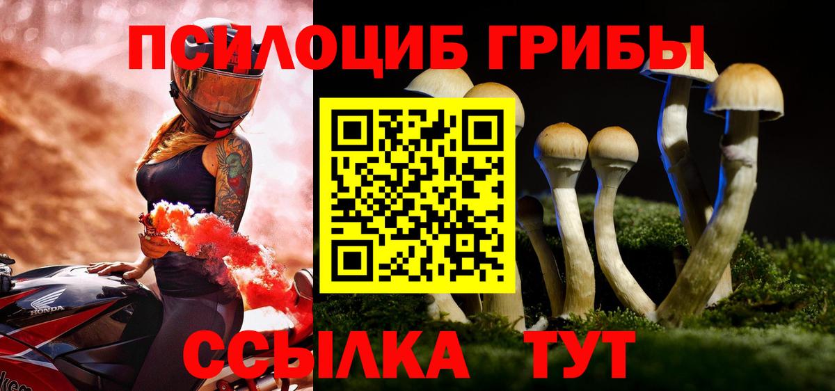 Псилоцибиновые грибы мухоморы Гуково