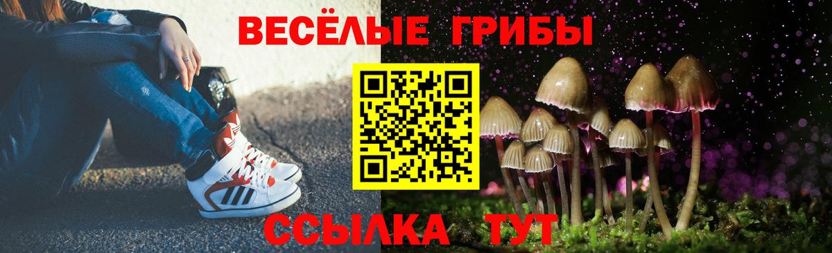 купить  цена  Псилоцибиновые грибы MAGIC MUSHROOMS  Вход с VPN  Гуково  Псилоцибиновые грибы ЛСД 